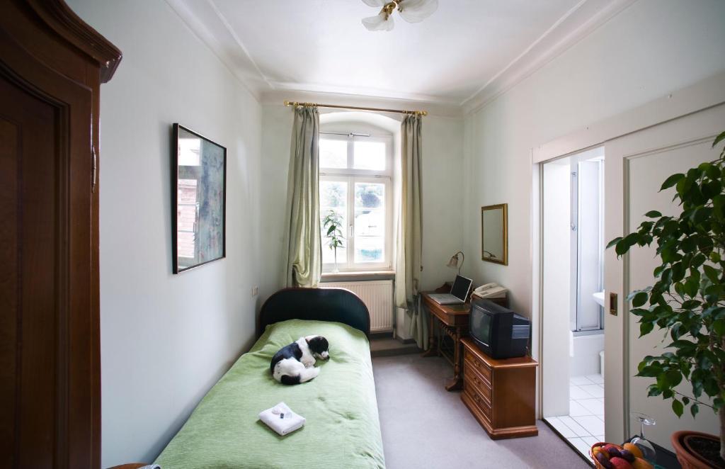 Hotel Goldener Hecht ไฮเดลเบิร์ก ห้อง รูปภาพ